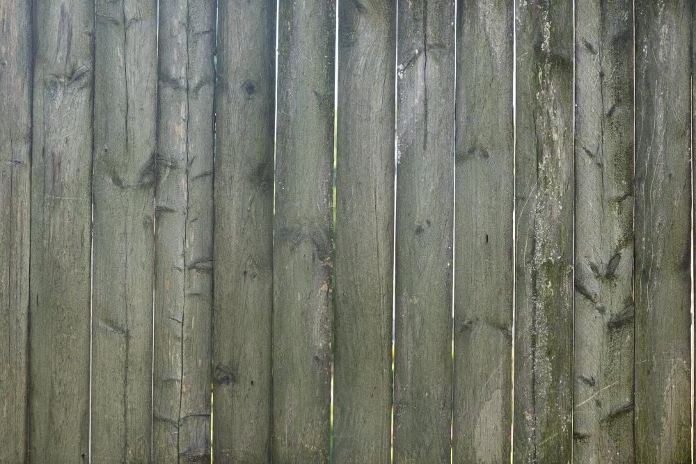 Wood Fence Damage Asheville