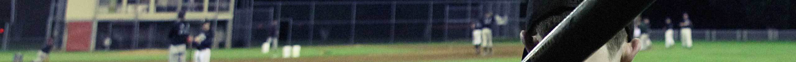 Athletic Fences