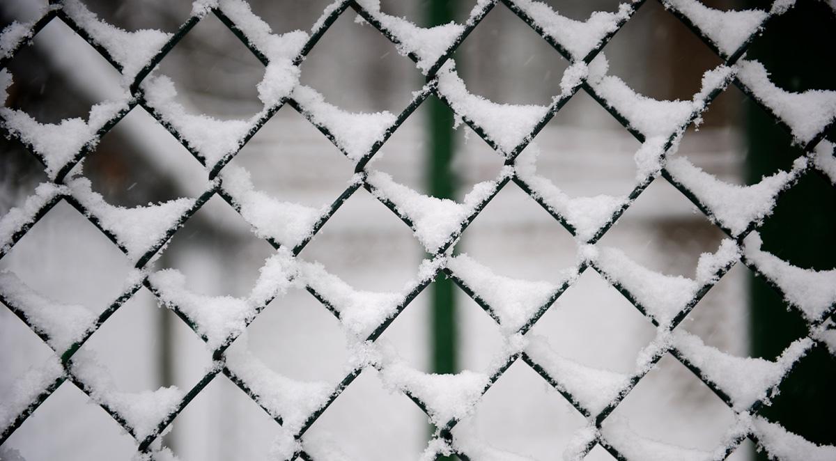 new fence ready for winter