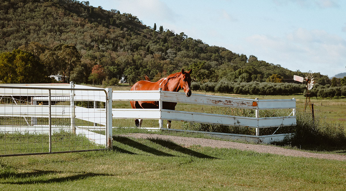 Planning Your Farm’s Fence