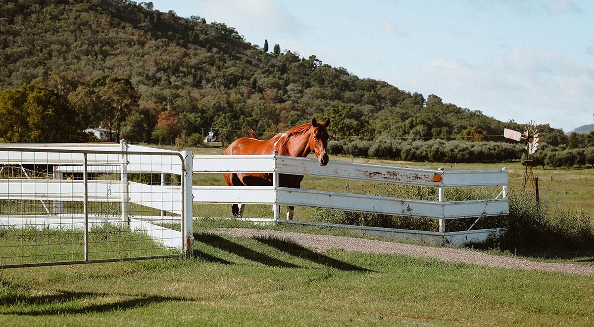 farm fencing buncombe county
