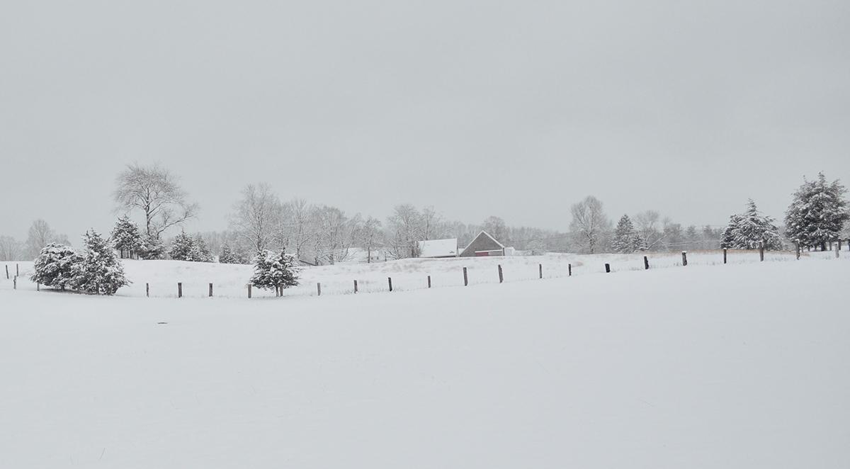 electric fences in winter