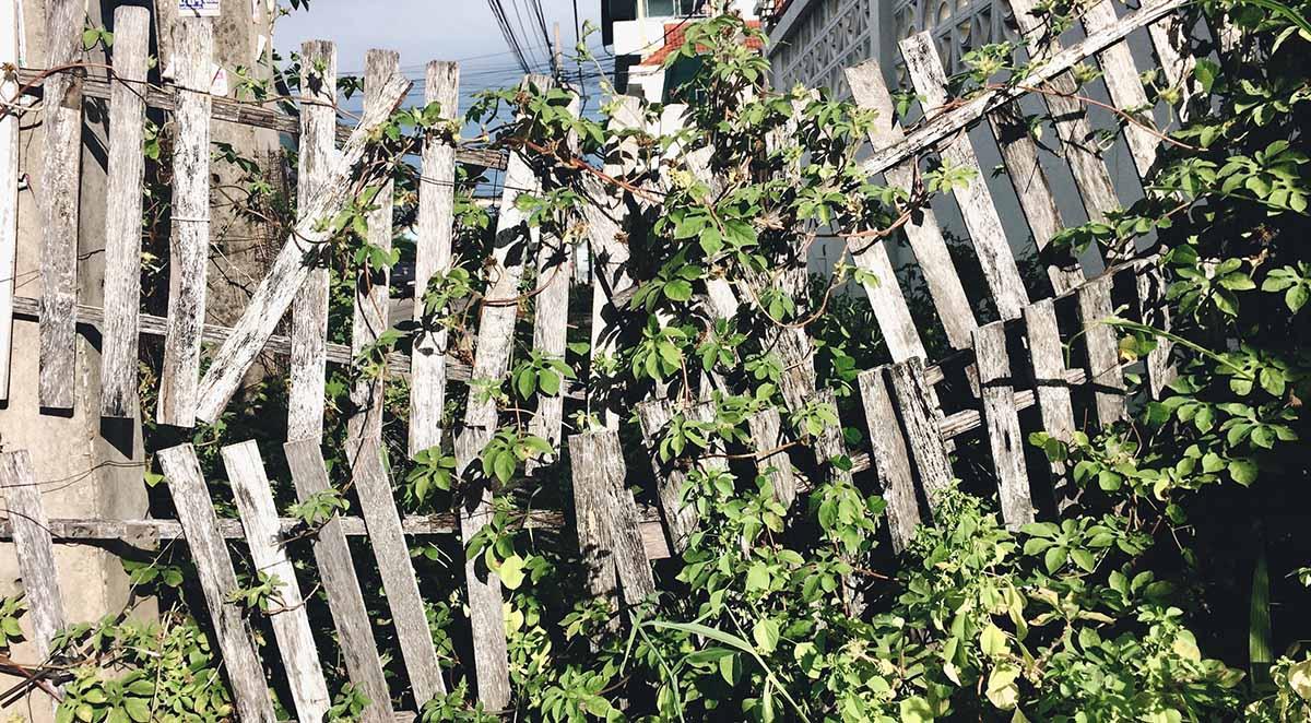 Fence Replacement Asheville, NC