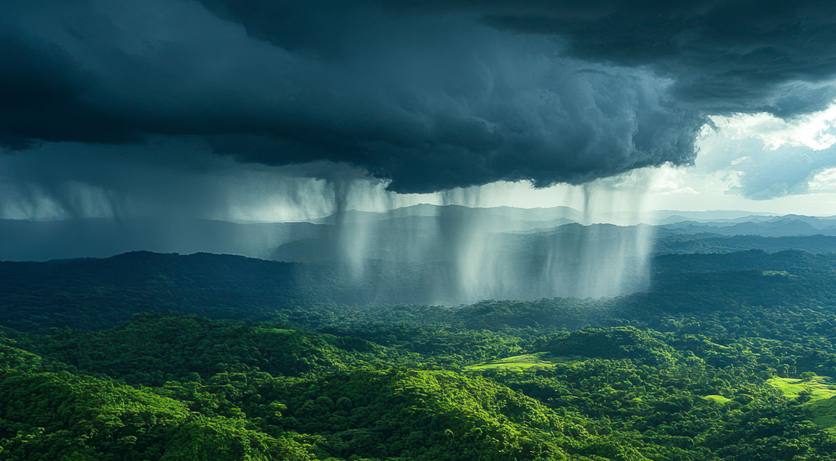 Storm-Resistant Fencing: A Guide for Western North Carolina Homeowners
