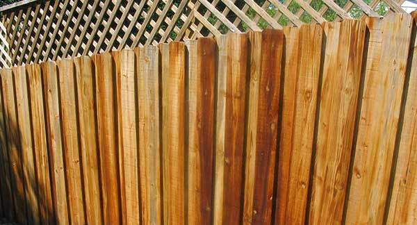 Board on Board Fences