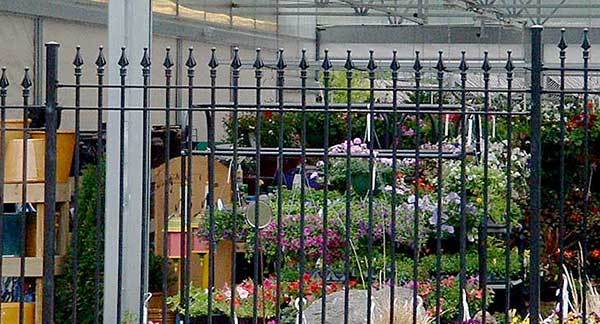 Ornamental Fences